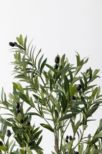 Yapay Zeytin Ağacı 175 cm Tek Gövdeli Doğal Gerçek Görünümlü Yapay Ağaç