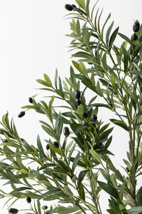 Yapay Zeytin Ağacı 175 cm Tek Gövdeli Doğal Gerçek Görünümlü Yapay Ağaç