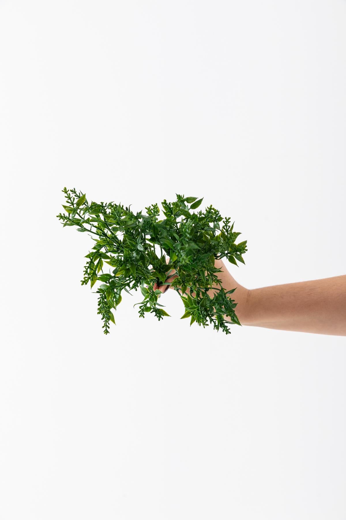 Yapay Zeytin Çiçeği Demet Yeşil 35 Cm 5 Dal