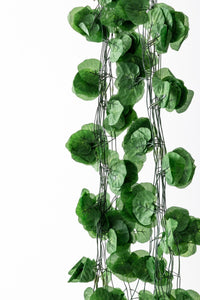 Yapay Zincir Sarmaşık Yuvarlak Yaprak 12li